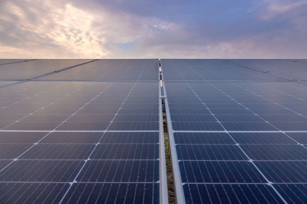 Daystar Powers Nigeria’s Largest Shrimp Farm with Solar